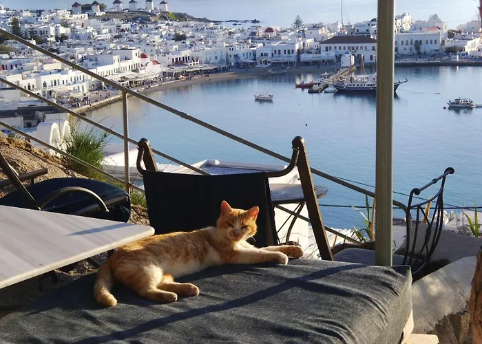 아파트 Anemones Sea View *