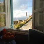 Anemones Sea View