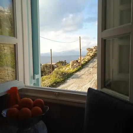 Anemones Sea View