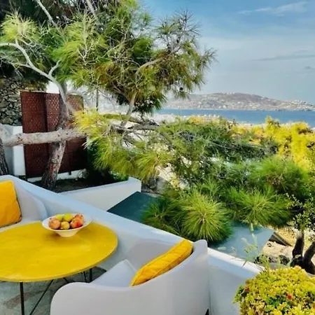 Anemones Sea View