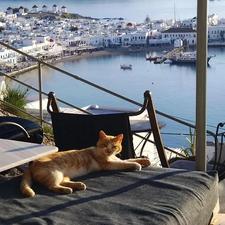 Appartement Anemones Sea View *